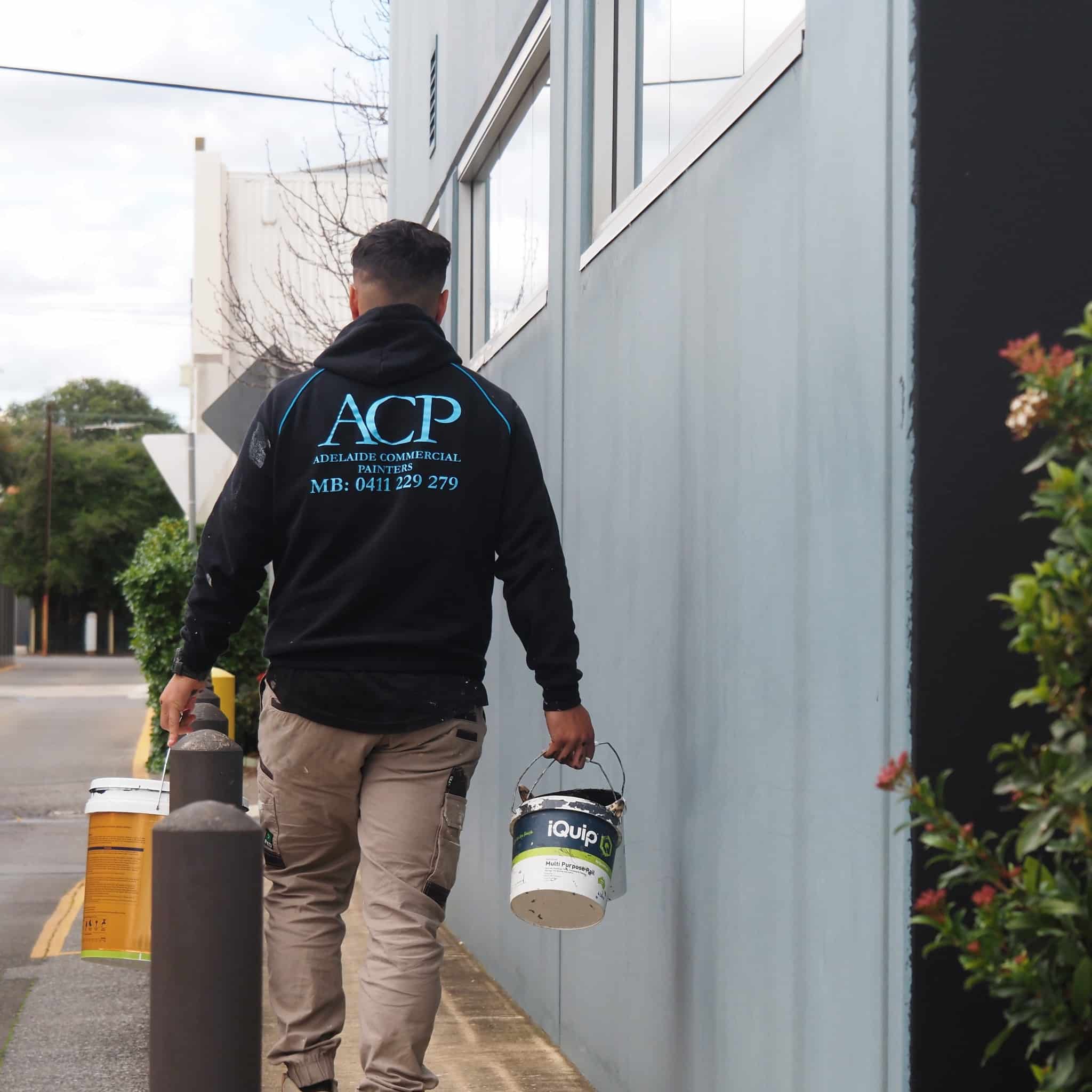 ACP Professional Painters